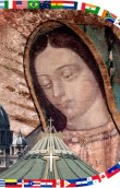 Stella della Nuova Evangelizzazione 